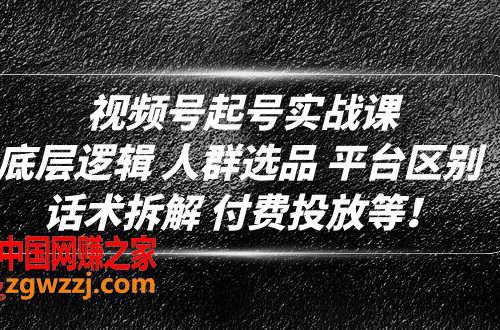 视频号起号实战课：底层逻辑 人群选品 平台区别 话术拆解 付费投放等！