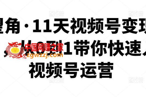 11天视频号变现训练营：从0到1带你快速入门视频号运营