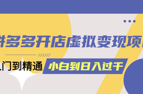 拼多多开店虚拟变现项目：入门到精通 从小白到日入1000（完整版）