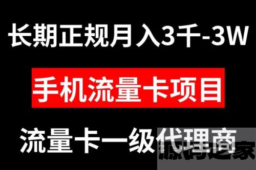 正规长期手机流量卡代理项目，月入 3000-3w 万元不等