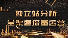 2020跨境电商最新运营教程_手把手教你分析运营独立站精细化流量