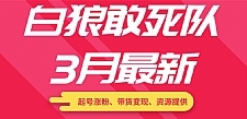 白狼敢死队最新短视频带货教程（起号涨粉、带货变现、资源提供）附最新茶素材