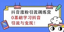 陈江雄抖音涨粉引流训练营，零基础学习抖音引流与变现