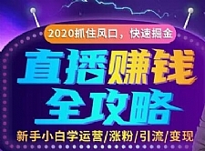 轻松月入10万+的直播赚钱攻略，教你涨粉/引流/带货/变现